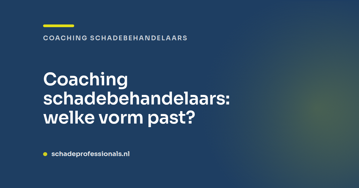 Coaching schadebehandelaars: welke vorm past?