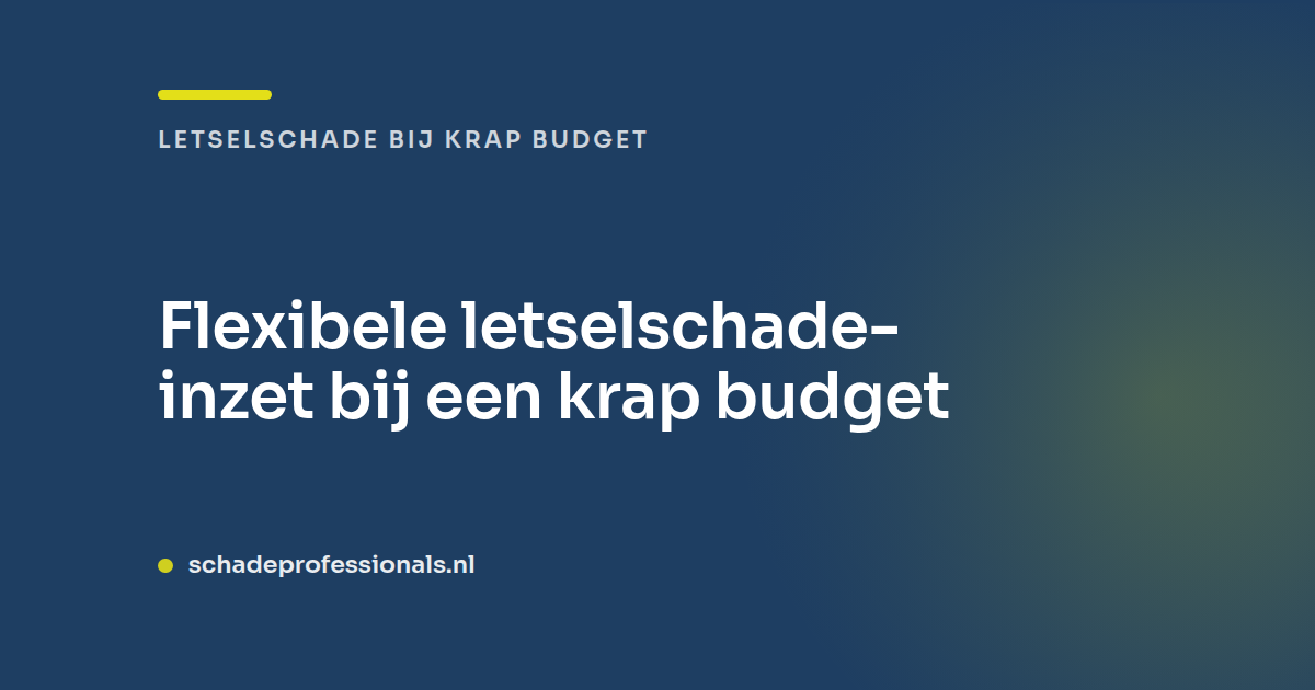 Flexibele letselschade-inzet bij een krap budget