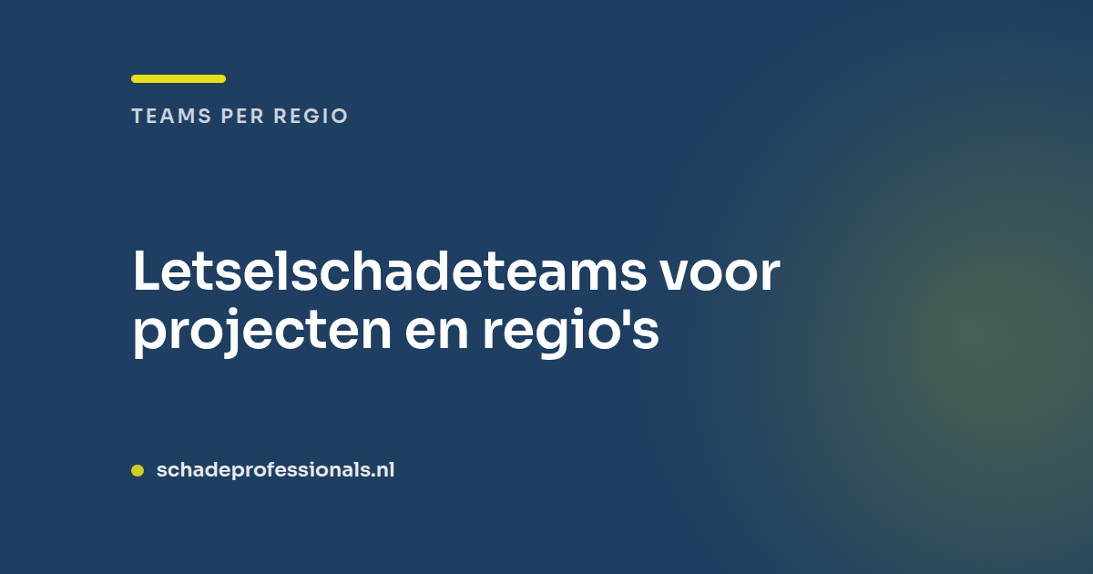 Letselschadeteams voor projecten en regio's