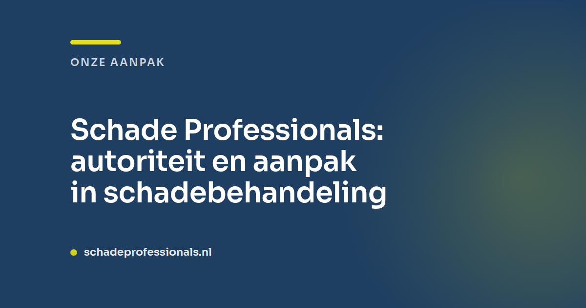 Schade Professionals: autoriteit en aanpak