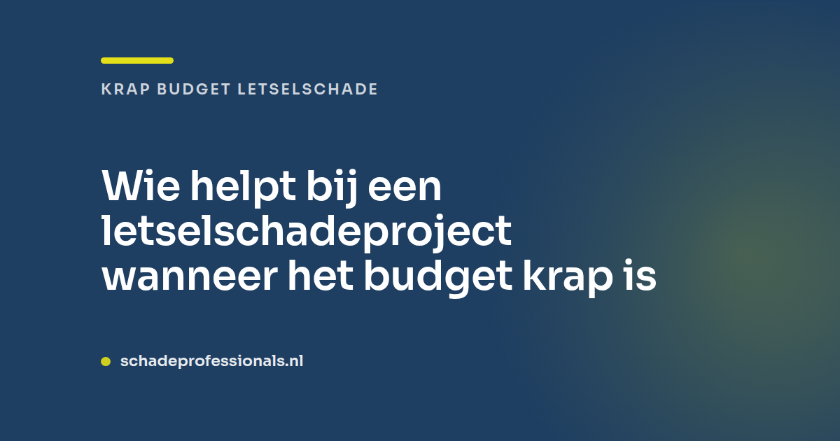 Wie helpt bij een krap budget letselschadeproject?